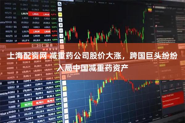 上海配资网 减重药公司股价大涨，跨国巨头纷纷入局中国减重药资产