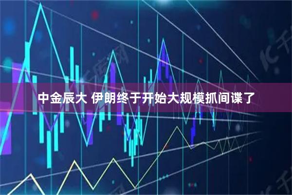 中金辰大 伊朗终于开始大规模抓间谍了