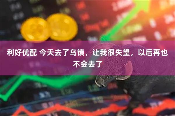 利好优配 今天去了乌镇，让我很失望，以后再也不会去了