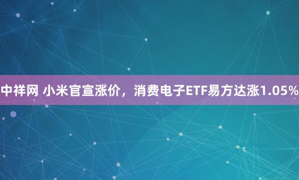 中祥网 小米官宣涨价，消费电子ETF易方达涨1.05%